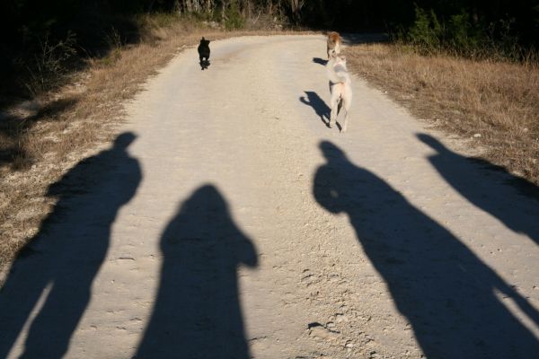 Friends at the Ranch