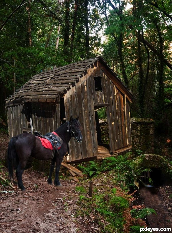 Creation of By The Old Shed: Step 4