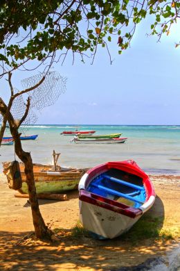 Fishing Boats