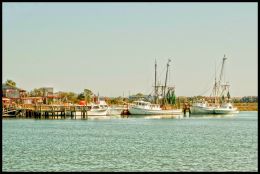 Shrimpers