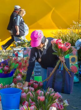 Picking flowers