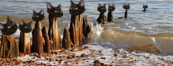 Creation of Shore Cats, Keeping the Watch: Step 5