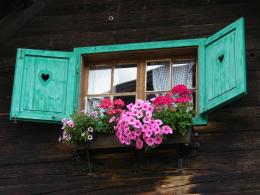 Shutters and flowers