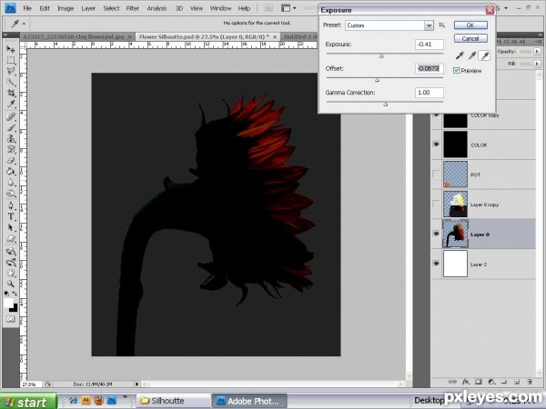 Creation of A Sunflower Silhouette: Step 4