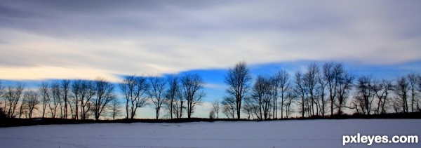 Tree Line