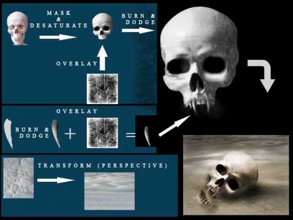 Creation of Ancient Skull: Step 1