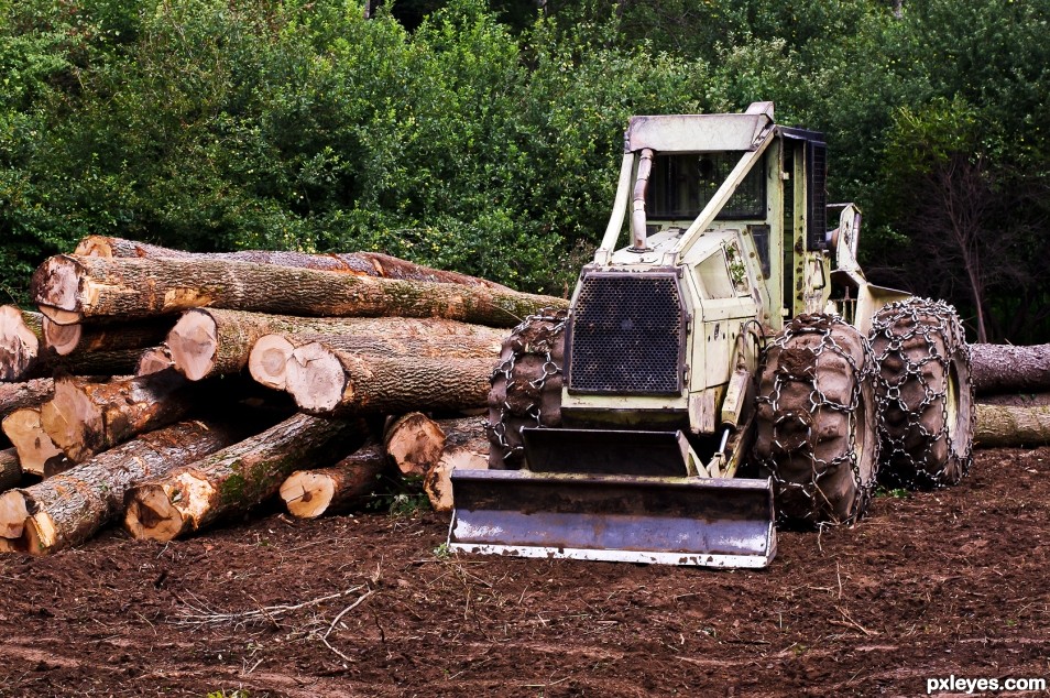 Logger