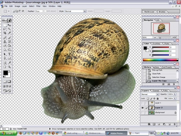 Creation of Call of the snail light...: Step 4