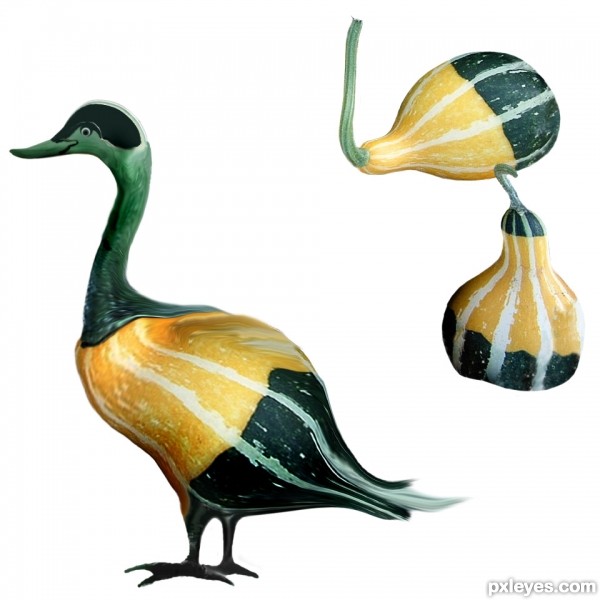 Creation of Gourdgeous Goose Family : Step 4