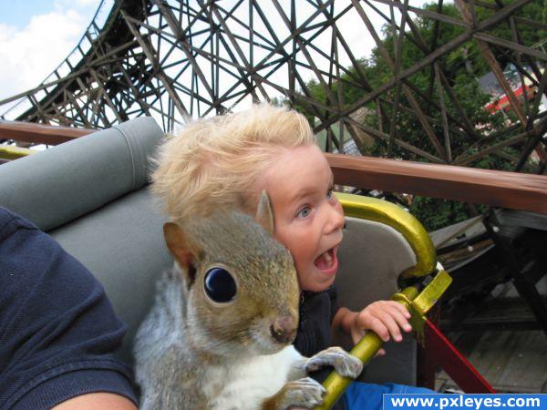 Coaster Squirrel 