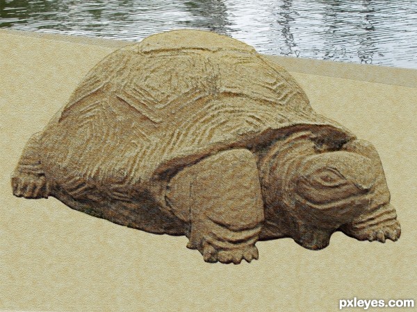 Creation of turtle sand sculpture: Step 6