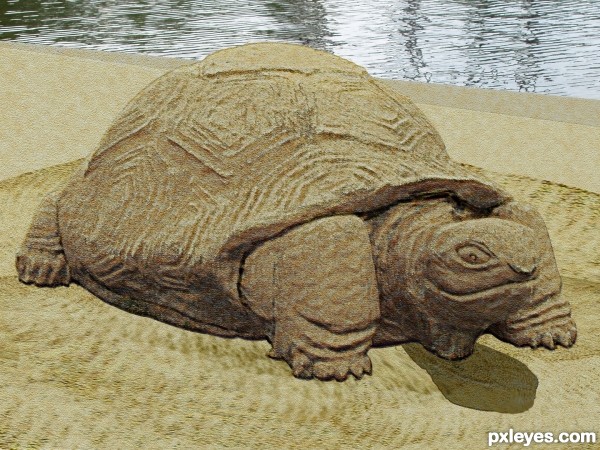 Creation of turtle sand sculpture: Step 8