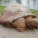 stone turtle source image