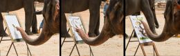 Elephant painting