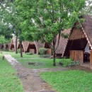 straw huts source image