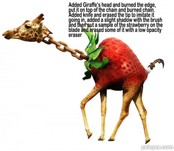 Creation of The Strawberry Giraffe: Step 2