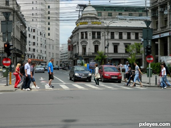 zebra crossing