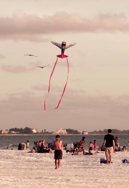 Kite Flying