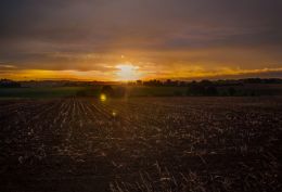 Ghosts in the field