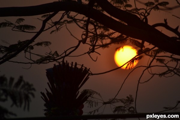 Sunset at marinedrive