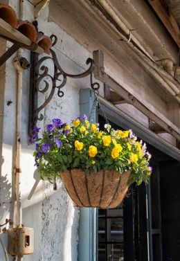 Hanging basket