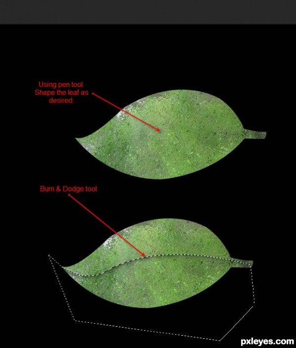 Creation of The Last Leaf: Step 7