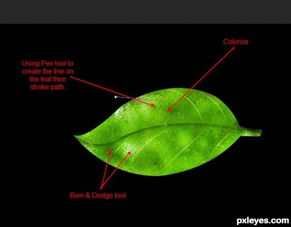 Creation of The Last Leaf: Step 8