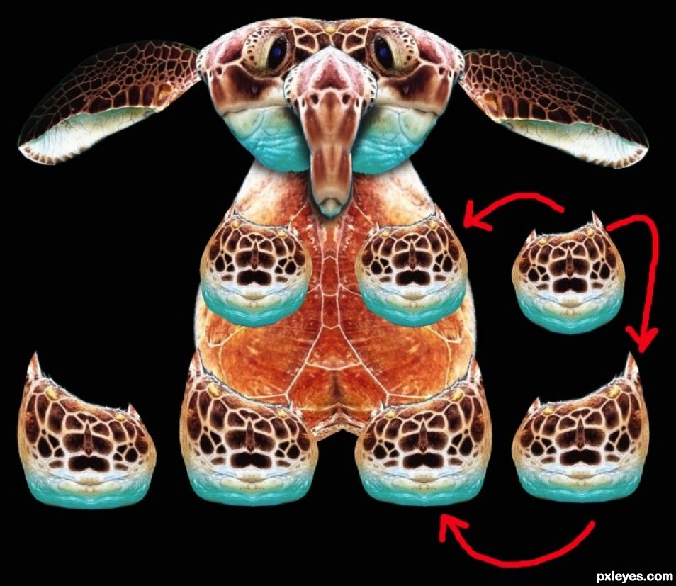 Creation of Sport Mutant Sea Burtles  PLAY BALL!!!: Step 8