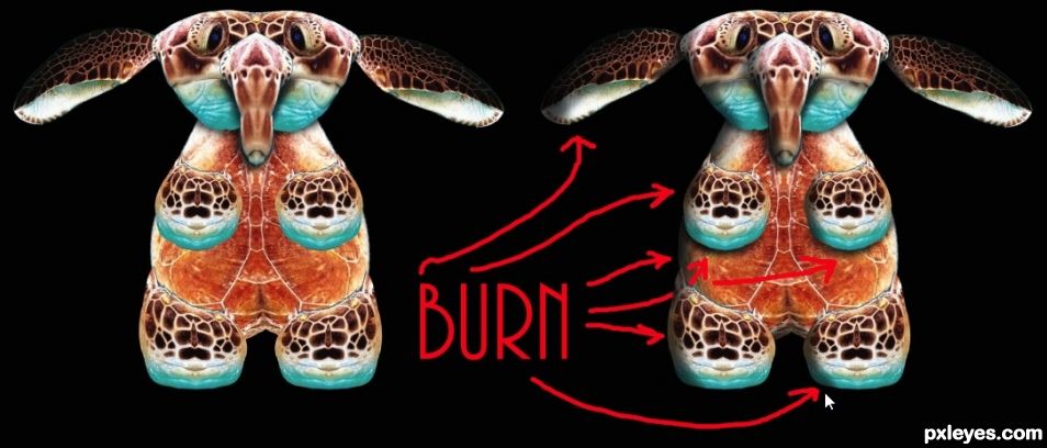 Creation of Sport Mutant Sea Burtles  PLAY BALL!!!: Step 9