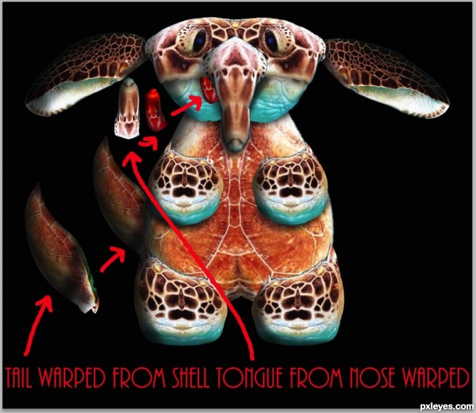 Creation of Sport Mutant Sea Burtles  PLAY BALL!!!: Step 10