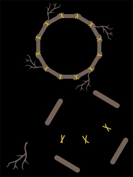 Creation of Bone Tarot: Step 3