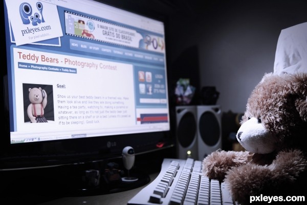 Internet Bear