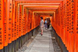 Torii gates