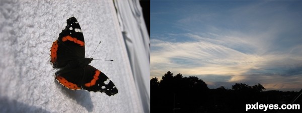 Creation of vanishing in flight: Step 1