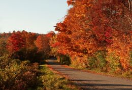 Country Road