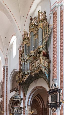 Organ