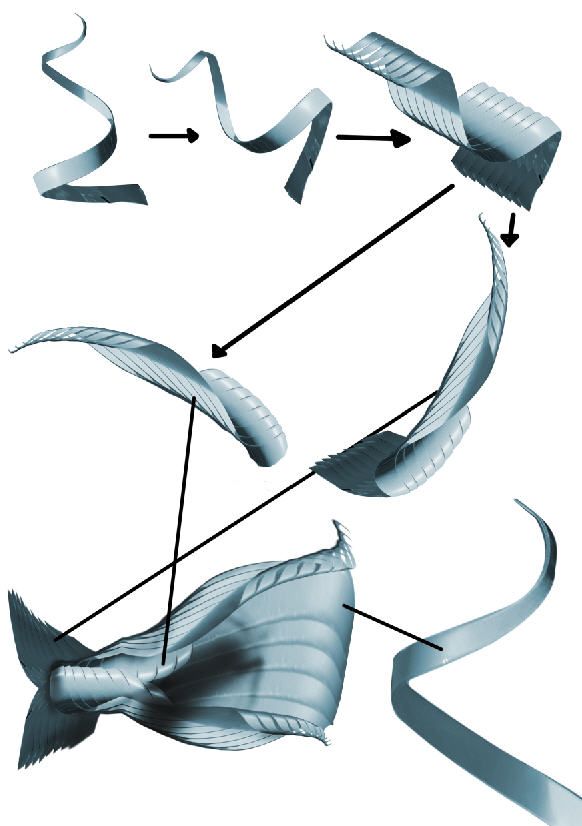 Creation of Gotcha!: Step 3