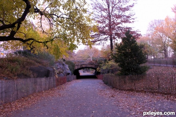 Creation of Central Park: Step 1