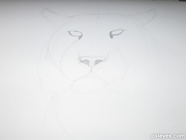 Creation of A Tiger: Step 2