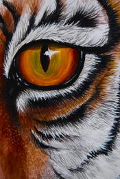 THe Eye of the Tiger