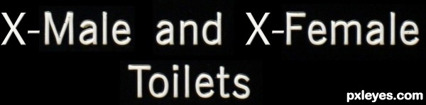 Creation of X-Male and X-Female Toilets: Step 14