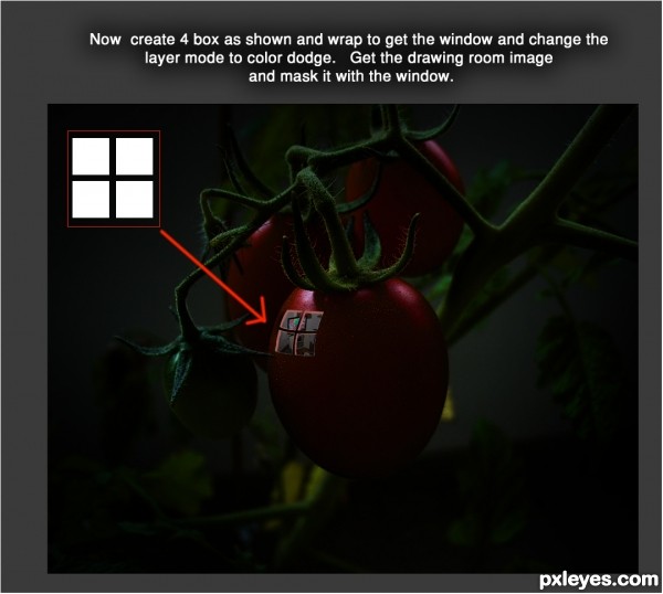 Creation of Life in Tomato: Step 4