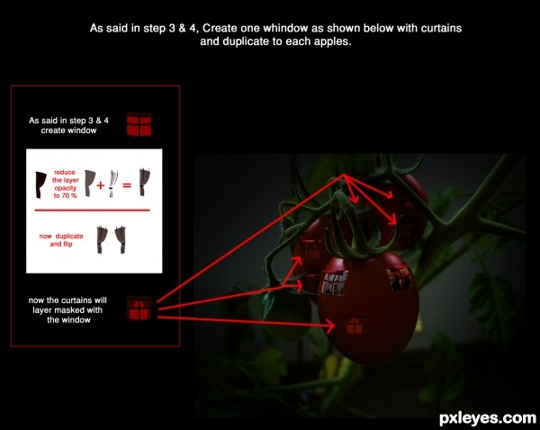 Creation of Life in Tomato: Step 6