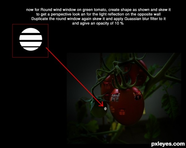 Creation of Life in Tomato: Step 7