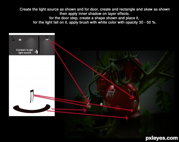 Creation of Life in Tomato: Step 8