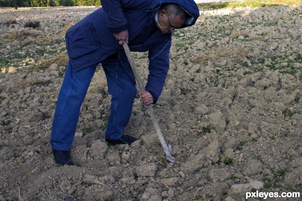 Smoothing the soil...