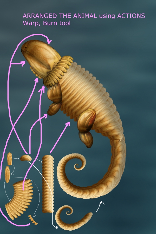 Creation of Sweet Little Beast: Step 8