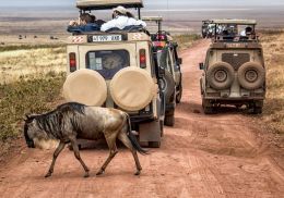 Traffic jam in unexpected places.