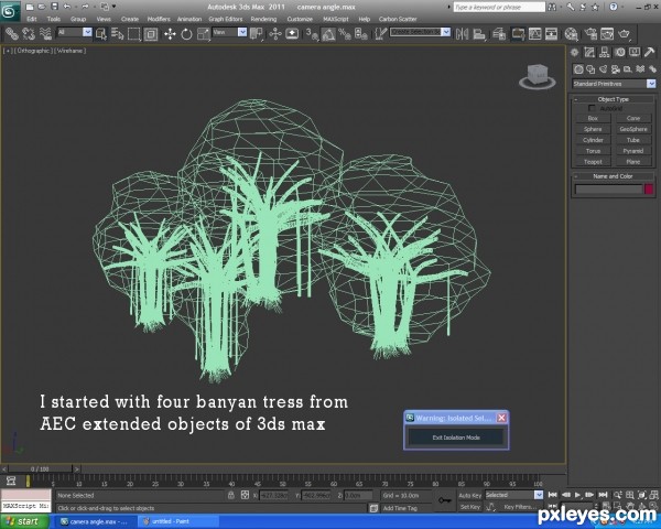 Creation of Above The Lake, Above The Tree: Step 1