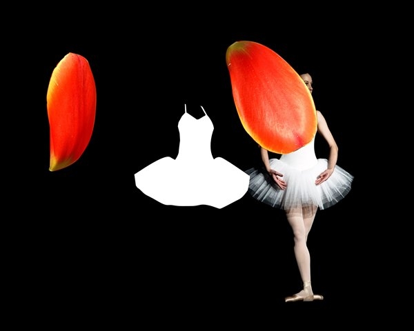 Creation of Tulip Ballerina: Step 2